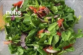 ROKA SALATASI 3 LÜ